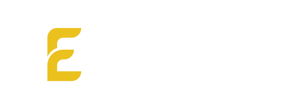 EuroFlux Logo